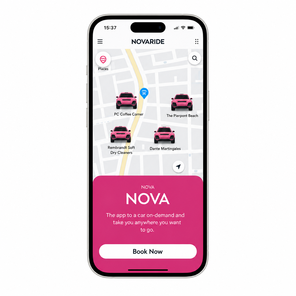 Rent a Car in 2 Minutes with NovaRide input example 1